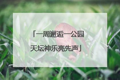 一周邂逅一公园 天坛神乐亮先声